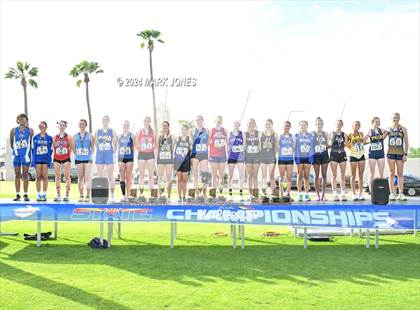 Thumbnail 3 in AIA D-IV Girls State Championship (Awards) photogallery.