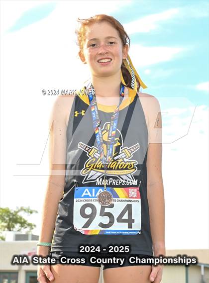 Thumbnail 1 in AIA D-IV Girls State Championship (Awards) photogallery.