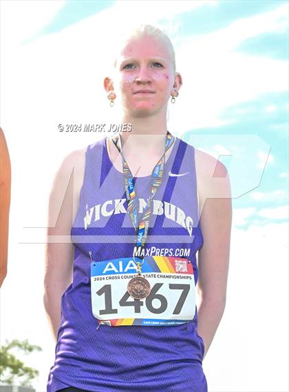 Thumbnail 2 in AIA D-IV Girls State Championship (Awards) photogallery.