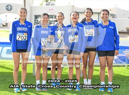 Thumbnail 1 in AIA D-IV Girls State Championship (Awards) photogallery.