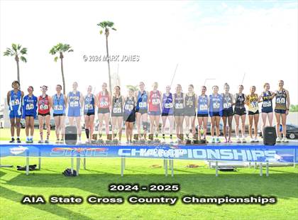 Thumbnail 1 in AIA D-IV Girls State Championship (Awards) photogallery.