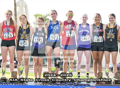 Thumbnail 1 in AIA D-IV Girls State Championship (Awards) photogallery.
