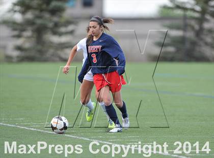 Thumbnail 2 in Rock Canyon vs. Liberty (CHSAA 5A Round 2) photogallery.
