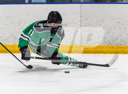 Thumbnail 3 in Pine-Richland @ Seneca Valley (PIHL 3A Quarter Final) photogallery.
