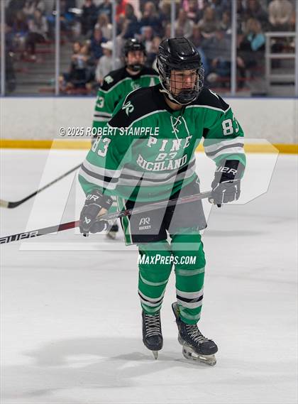 Thumbnail 2 in Pine-Richland @ Seneca Valley (PIHL 3A Quarter Final) photogallery.