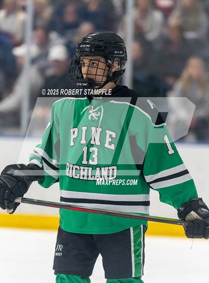 Thumbnail 1 in Pine-Richland @ Seneca Valley (PIHL 3A Quarter Final) photogallery.