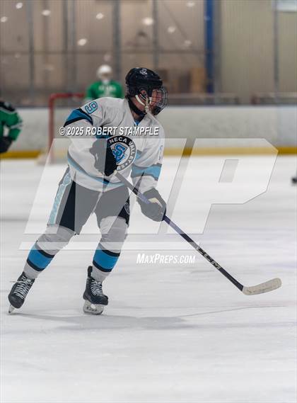 Thumbnail 3 in Pine-Richland @ Seneca Valley (PIHL 3A Quarter Final) photogallery.