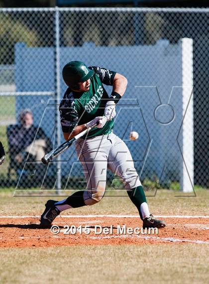 Thumbnail 3 in Sickles @ Newsome photogallery.