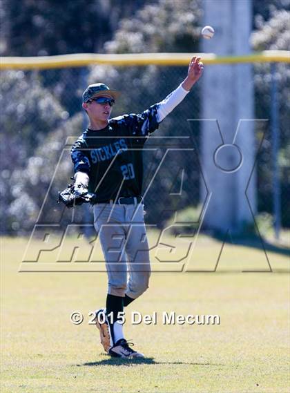 Thumbnail 1 in Sickles @ Newsome photogallery.