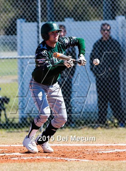 Thumbnail 1 in Sickles @ Newsome photogallery.