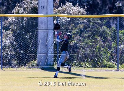Thumbnail 2 in Sickles @ Newsome photogallery.