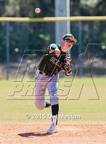 Thumbnail 3 in Sickles @ Newsome photogallery.