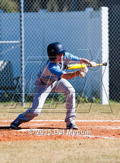 Thumbnail 3 in Sickles @ Newsome photogallery.