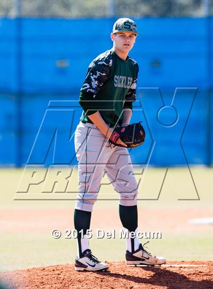 Thumbnail 2 in Sickles @ Newsome photogallery.