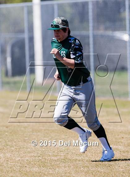 Thumbnail 1 in Sickles @ Newsome photogallery.