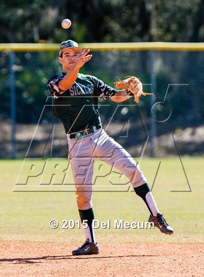 Thumbnail 3 in Sickles @ Newsome photogallery.