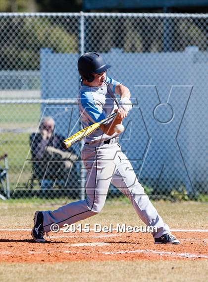 Thumbnail 2 in Sickles @ Newsome photogallery.