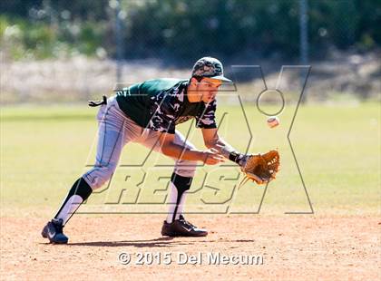 Thumbnail 2 in Sickles @ Newsome photogallery.