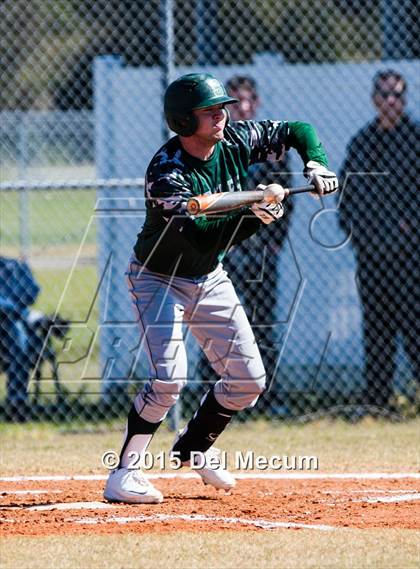 Thumbnail 3 in Sickles @ Newsome photogallery.