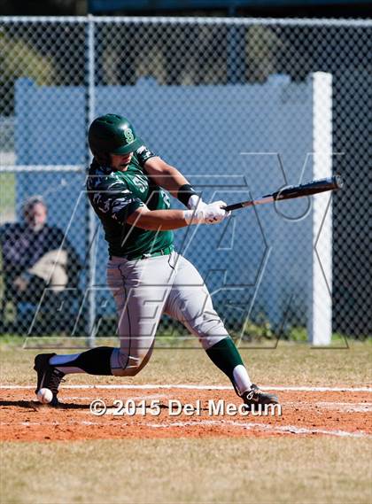 Thumbnail 2 in Sickles @ Newsome photogallery.