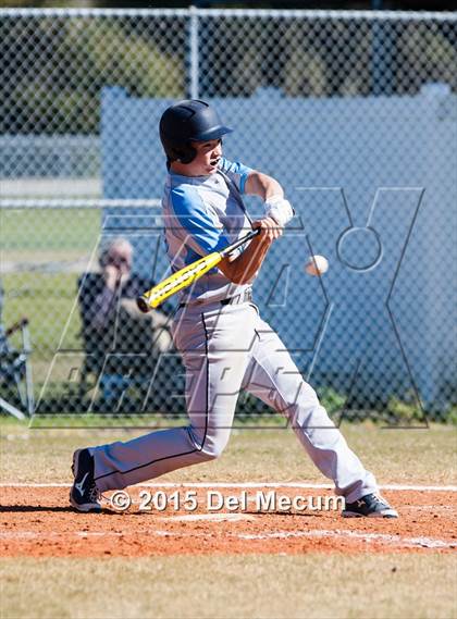 Thumbnail 3 in Sickles @ Newsome photogallery.