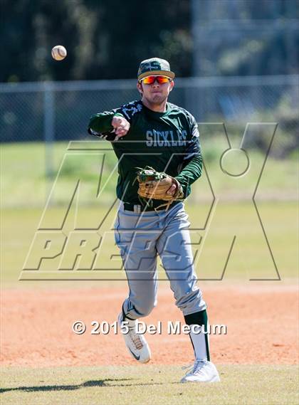 Thumbnail 2 in Sickles @ Newsome photogallery.