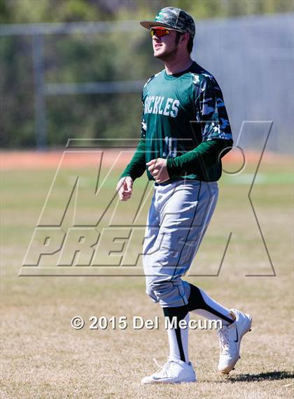 Thumbnail 2 in Sickles @ Newsome photogallery.