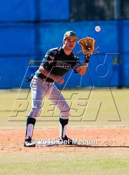 Thumbnail 2 in Sickles @ Newsome photogallery.