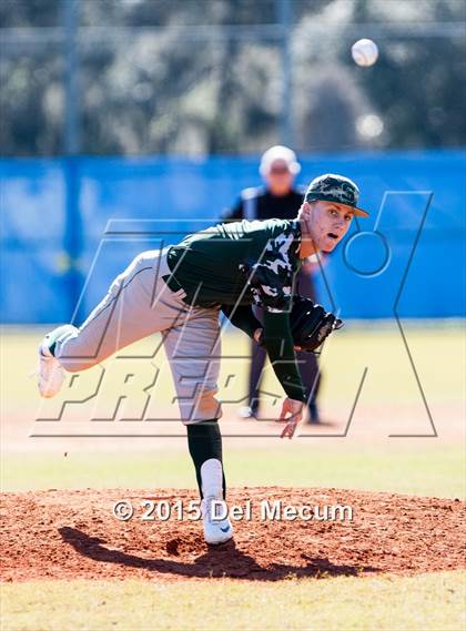 Thumbnail 2 in Sickles @ Newsome photogallery.