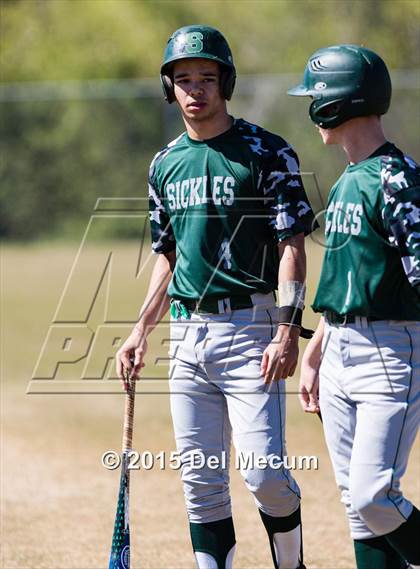 Thumbnail 1 in Sickles @ Newsome photogallery.