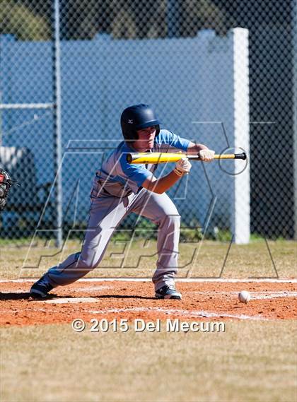 Thumbnail 1 in Sickles @ Newsome photogallery.