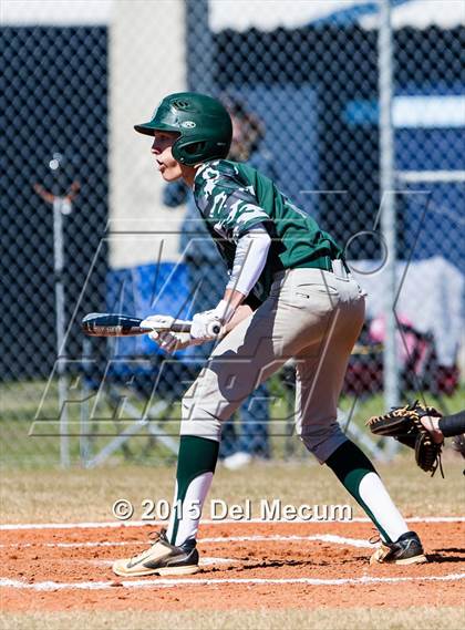 Thumbnail 3 in Sickles @ Newsome photogallery.