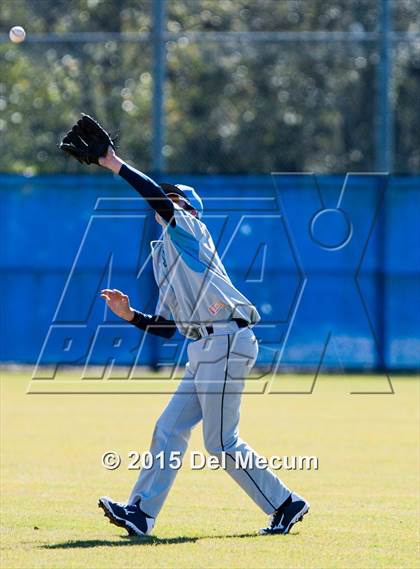 Thumbnail 3 in Sickles @ Newsome photogallery.