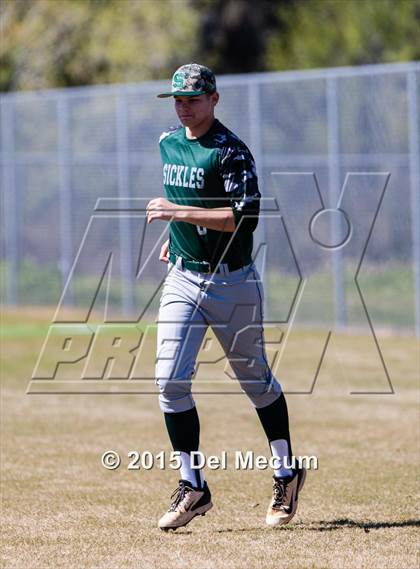 Thumbnail 1 in Sickles @ Newsome photogallery.