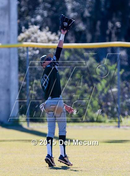 Thumbnail 2 in Sickles @ Newsome photogallery.