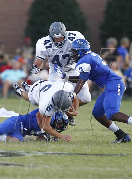 Thumbnail 1 in Franklin Road Academy @ Boyd-Buchanan photogallery.