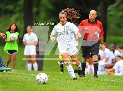 Thumbnail 1 in Brewster @ Beacon photogallery.