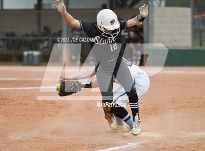 Thumbnail 2 in Johnson vs Clark photogallery.