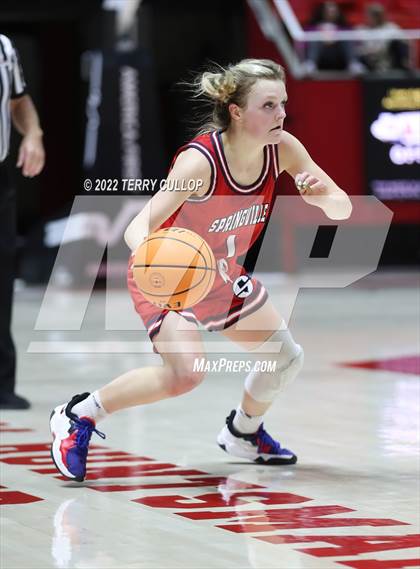 Thumbnail 1 in Springville vs. Bountiful (UHSAA 5A Semifinal) photogallery.