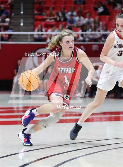 Thumbnail 1 in Springville vs. Bountiful (UHSAA 5A Semifinal) photogallery.