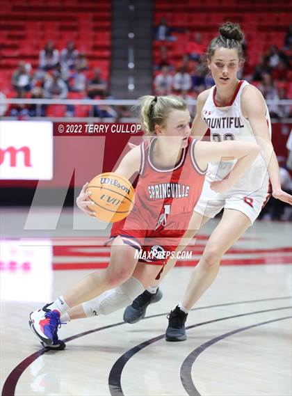 Thumbnail 3 in Springville vs. Bountiful (UHSAA 5A Semifinal) photogallery.