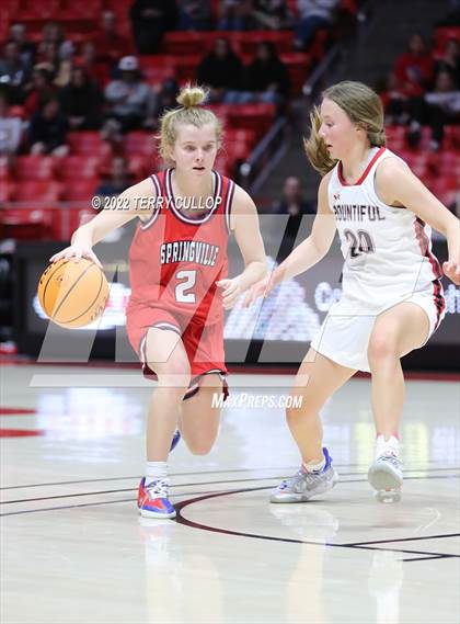 Thumbnail 2 in Springville vs. Bountiful (UHSAA 5A Semifinal) photogallery.