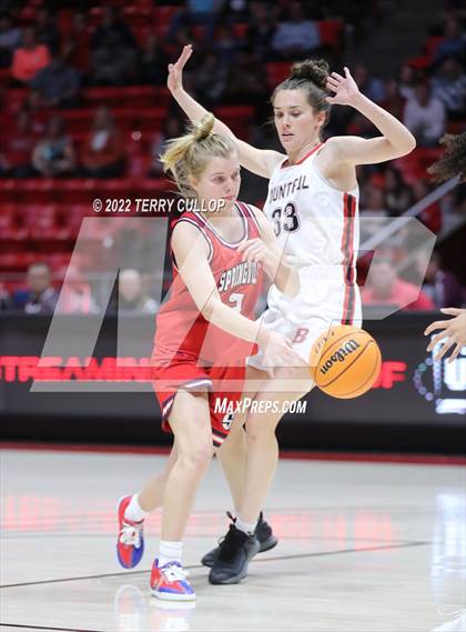 Thumbnail 2 in Springville vs. Bountiful (UHSAA 5A Semifinal) photogallery.