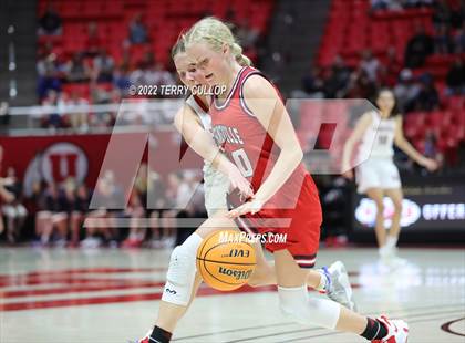 Thumbnail 3 in Springville vs. Bountiful (UHSAA 5A Semifinal) photogallery.