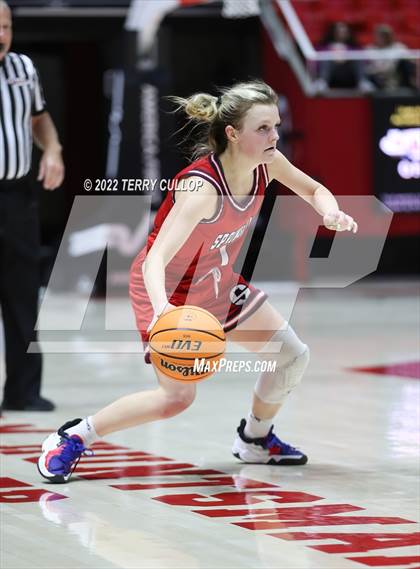 Thumbnail 3 in Springville vs. Bountiful (UHSAA 5A Semifinal) photogallery.