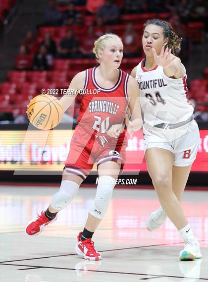 Thumbnail 1 in Springville vs. Bountiful (UHSAA 5A Semifinal) photogallery.