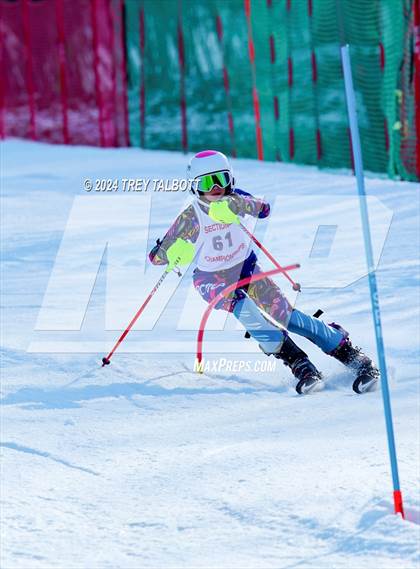 Thumbnail 3 in NYSPHSAA Section V Class A & B Slalom Final (First Run) photogallery.