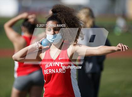 Thumbnail 1 in St. Bernard @ Lyman Memorial photogallery.