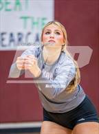 Photo from the gallery "Klein @ Magnolia"