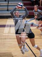 Photo from the gallery "Klein @ Magnolia"